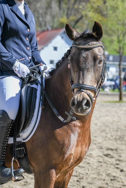 賴特-菲利普斯贊揚曼城新星奧萊利 表現矚目 戰巴薩發揮非凡.