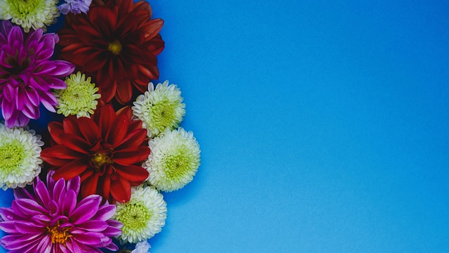 胁对手后防 胁对手后防