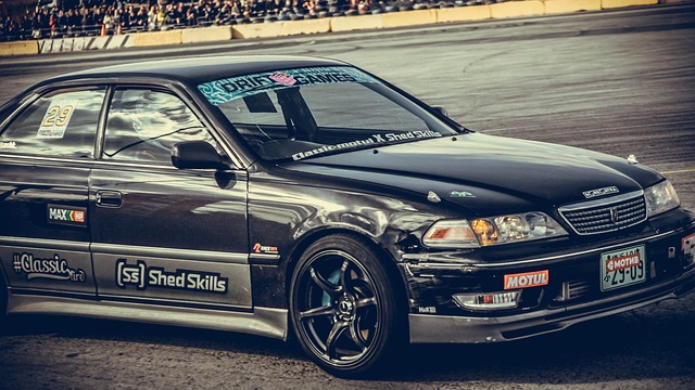 要培养更多 要培养更多