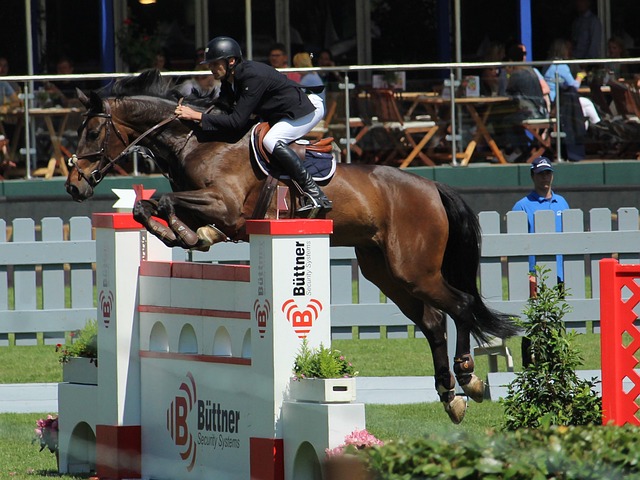 张艺谋任创意顾问 巴黎奥运中国体育代表团领奖服发布.